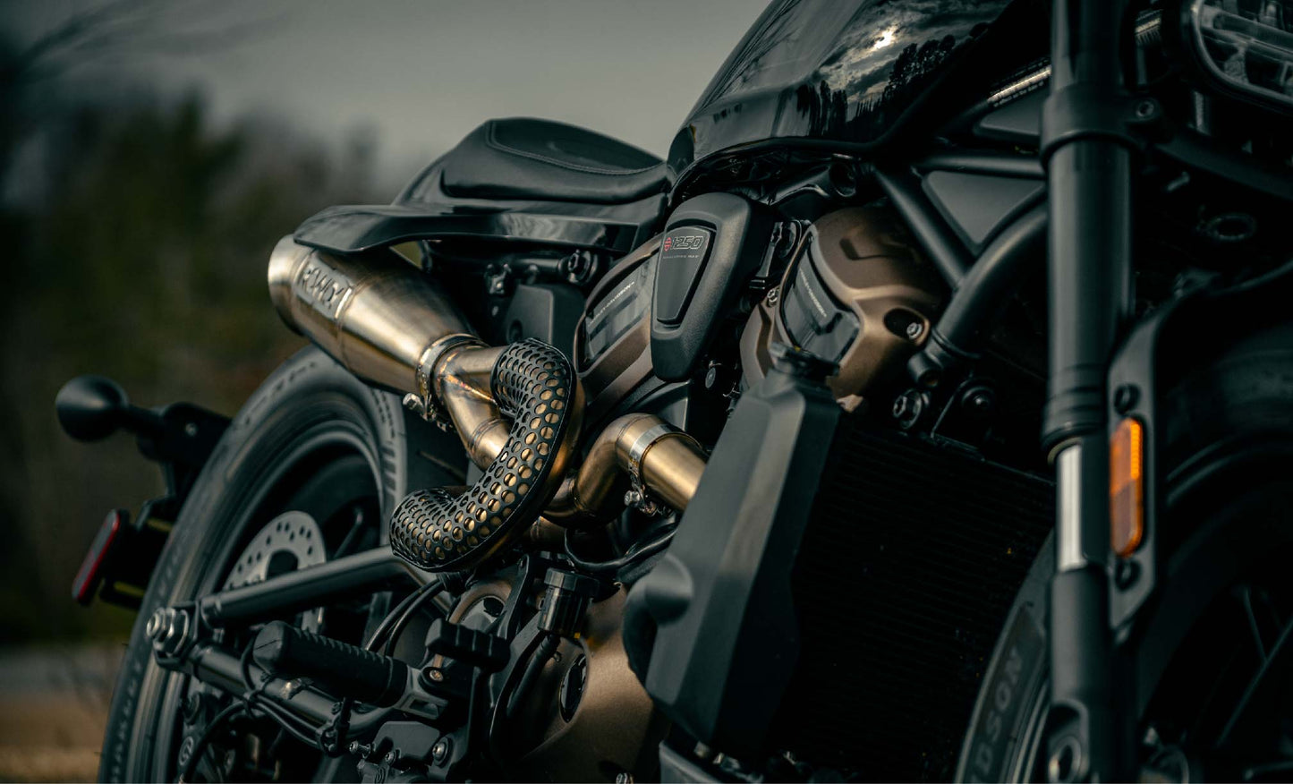 Pot d'échappement Sportster S Rowdy (RH 1250) 